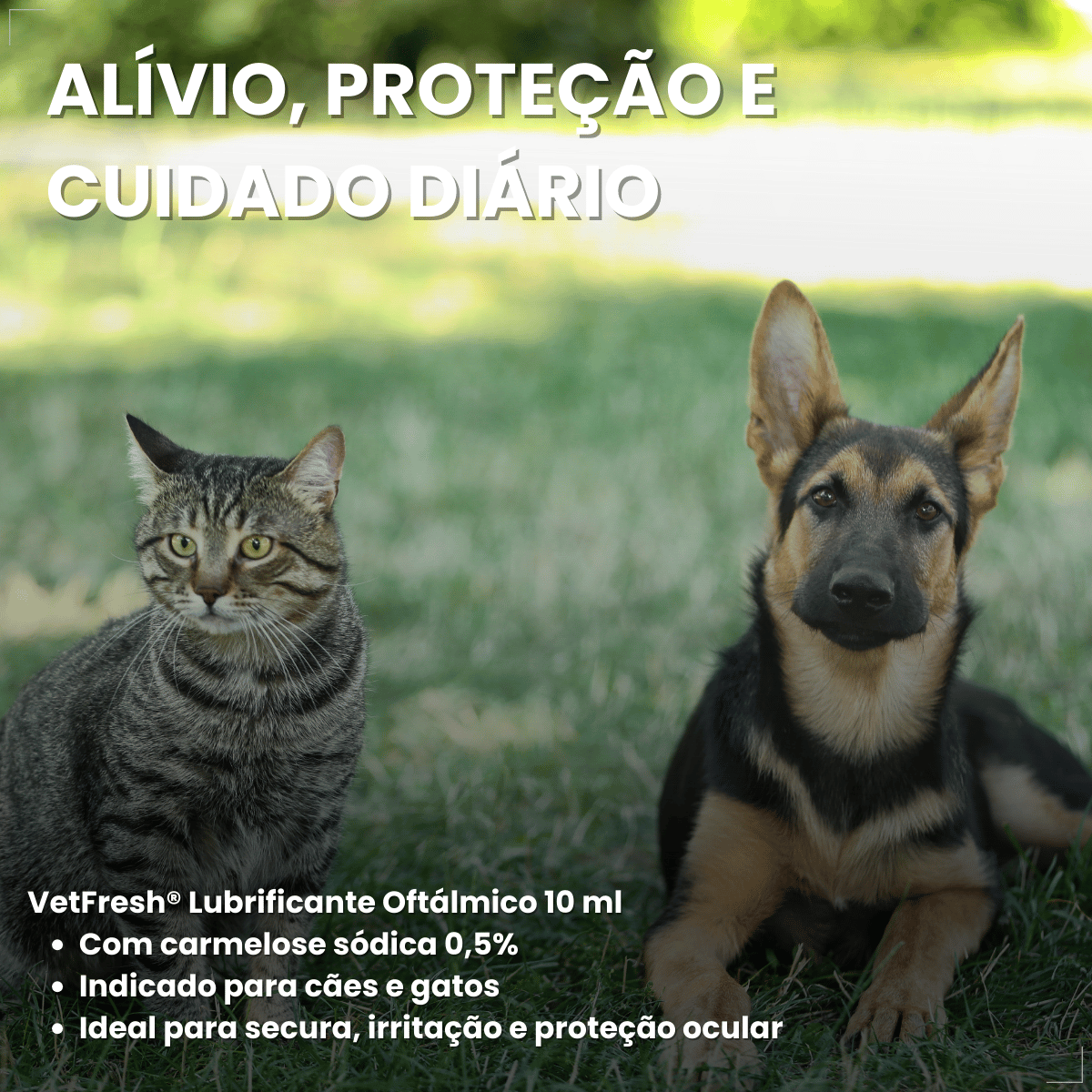 VetFresh Lubrificante Oftálmico para Cães e Gatos Softcare
