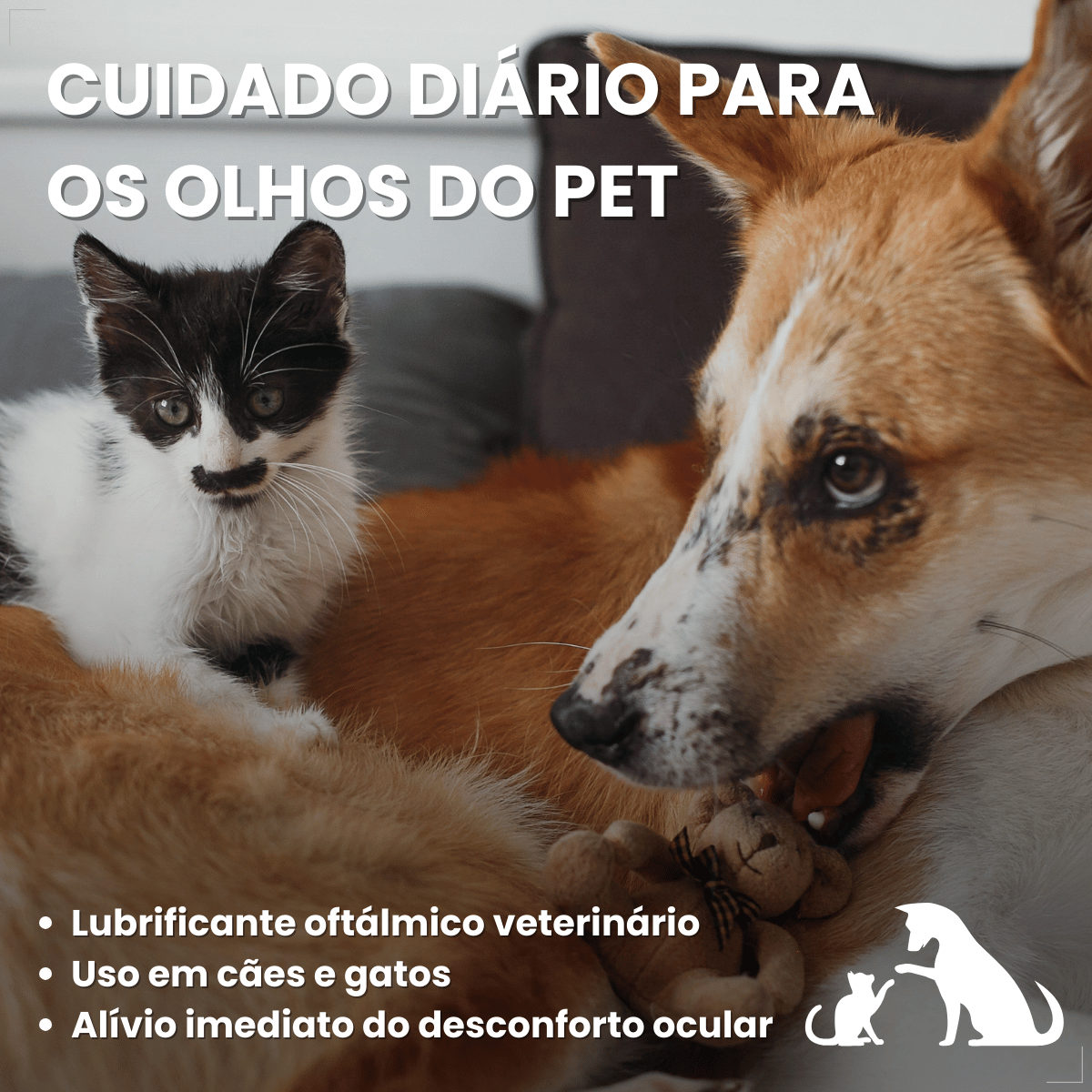 VetFresh Lubrificante Oftálmico para Cães e Gatos Softcare