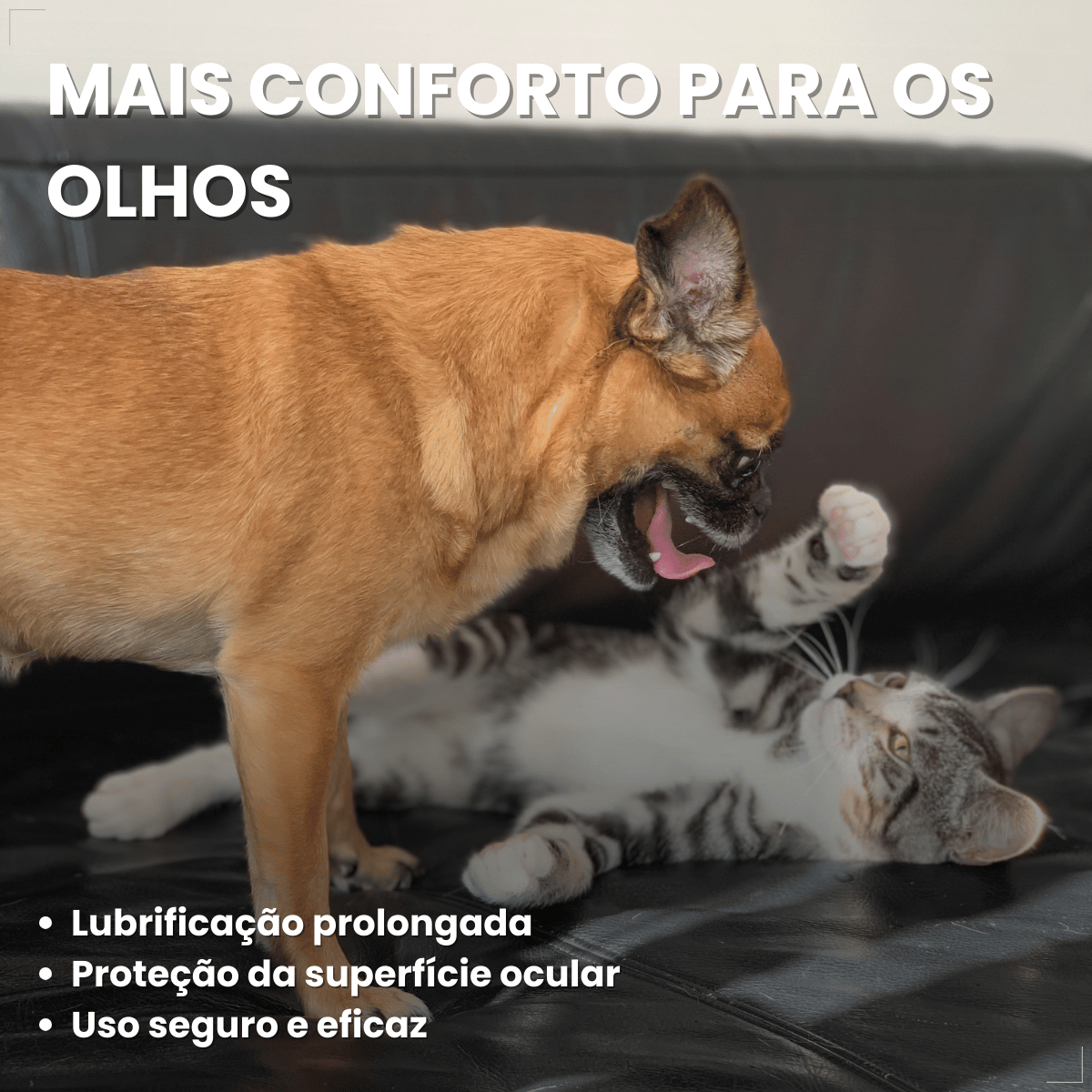 VetFresh Lubrificante Oftálmico para Cães e Gatos Softcare