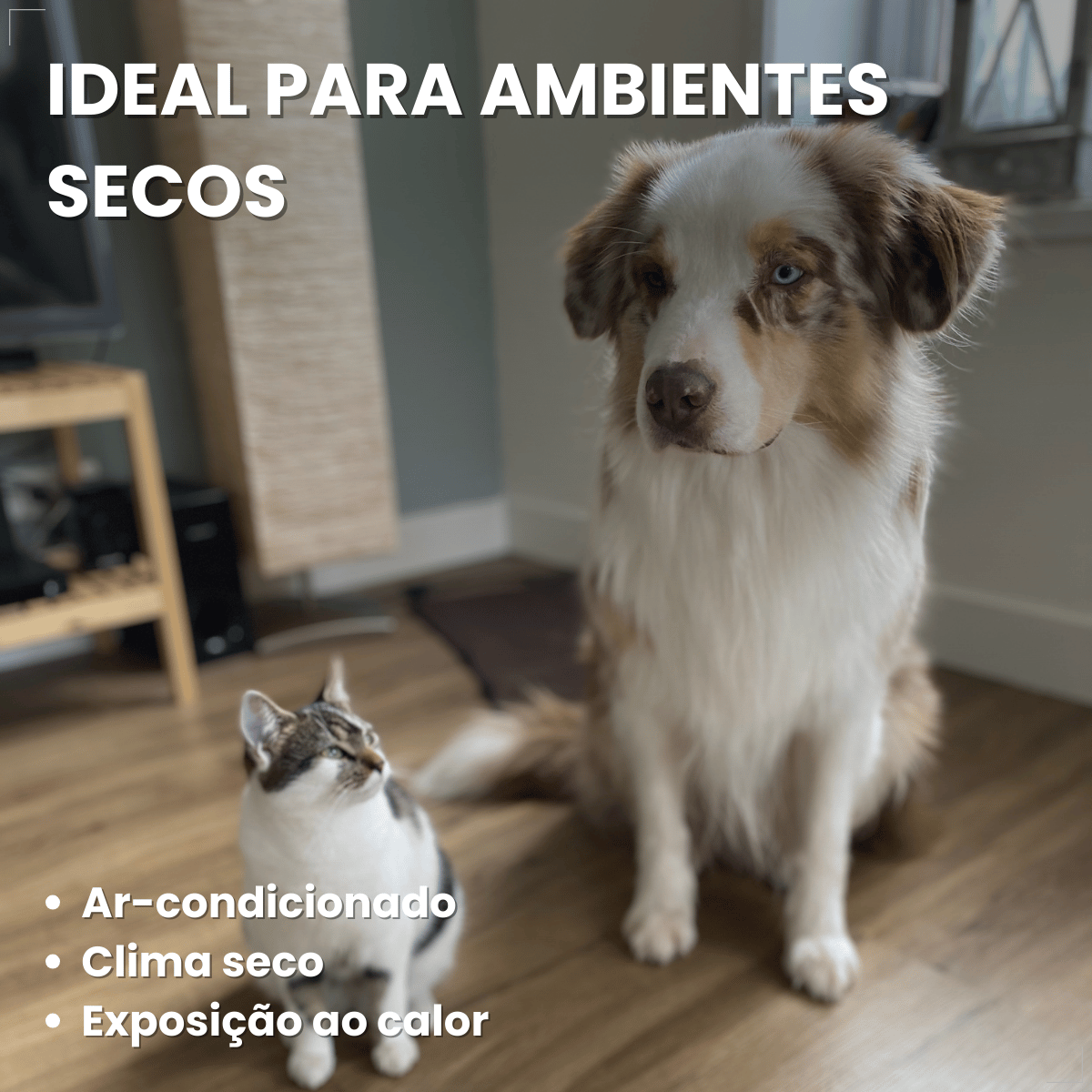 VetFresh Lubrificante Oftálmico para Cães e Gatos Softcare