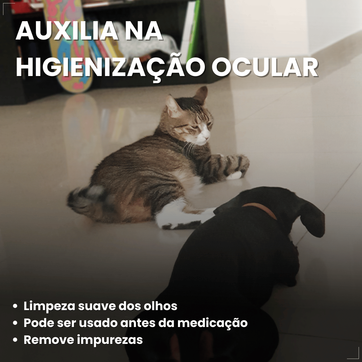 VetFresh Lubrificante Oftálmico para Cães e Gatos Softcare