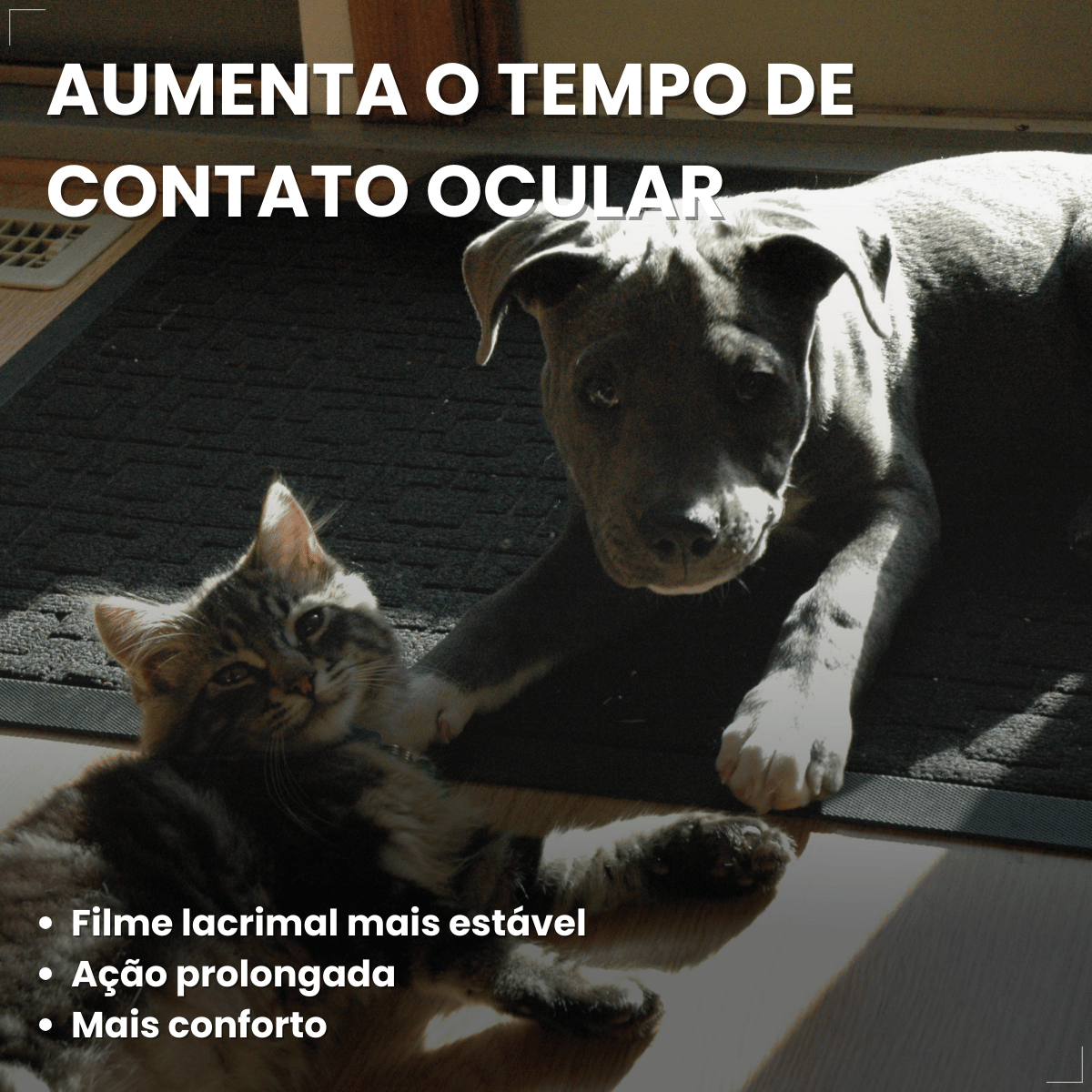 VetFresh Lubrificante Oftálmico para Cães e Gatos Softcare