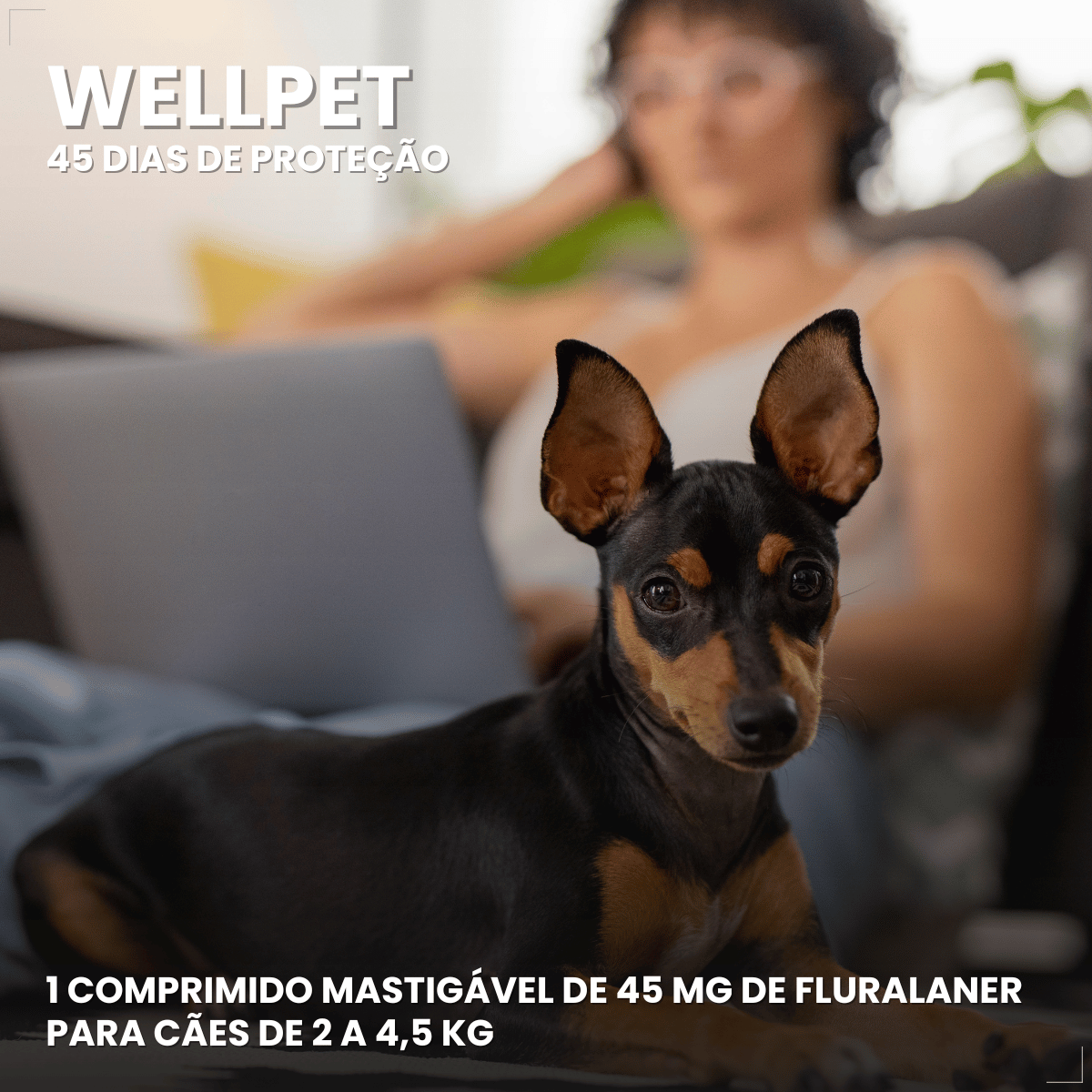 Wellpet Ourofino Antipulgas e Carrapatos Cães 45mg 2 A 4,5kg