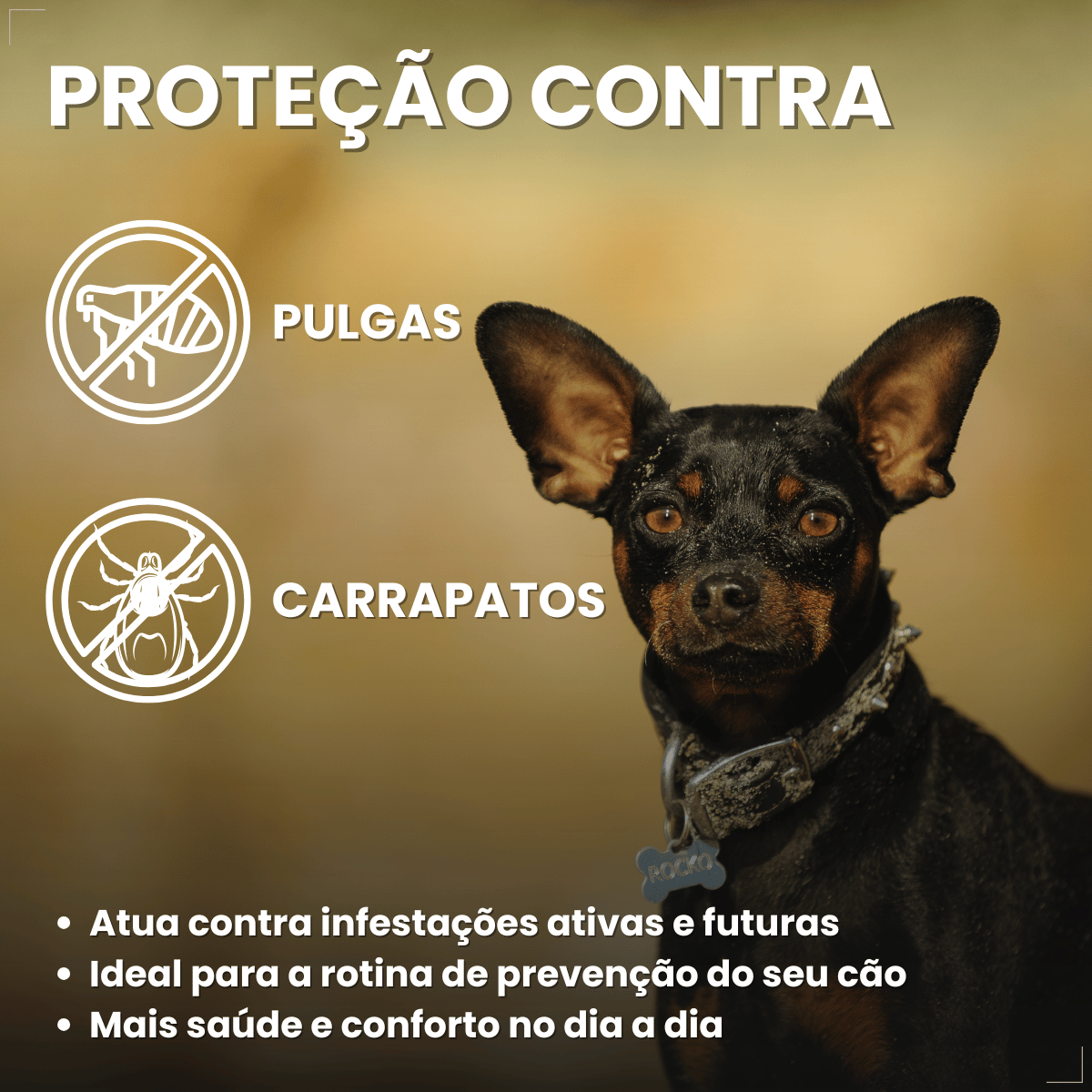 Wellpet Ourofino Antipulgas e Carrapatos Cães 45mg 2 A 4,5kg