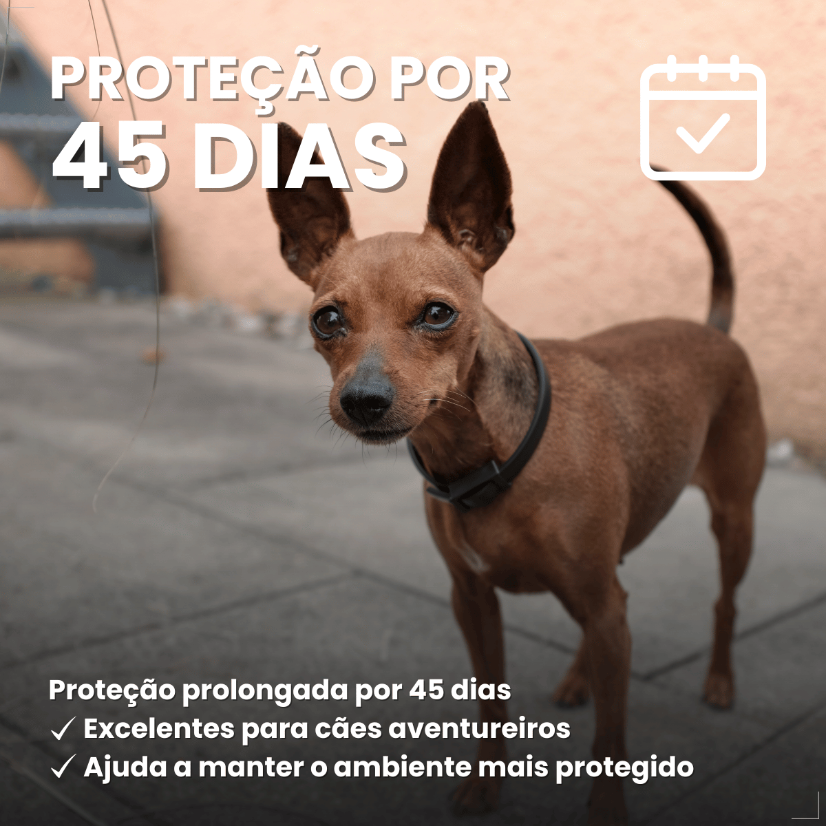 Wellpet Ourofino Antipulgas e Carrapatos Cães 45mg 2 A 4,5kg