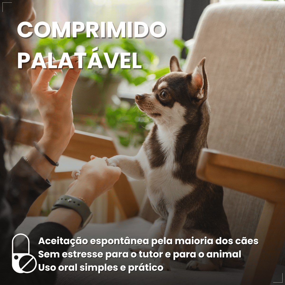 Wellpet Ourofino Antipulgas e Carrapatos Cães 45mg 2 A 4,5kg