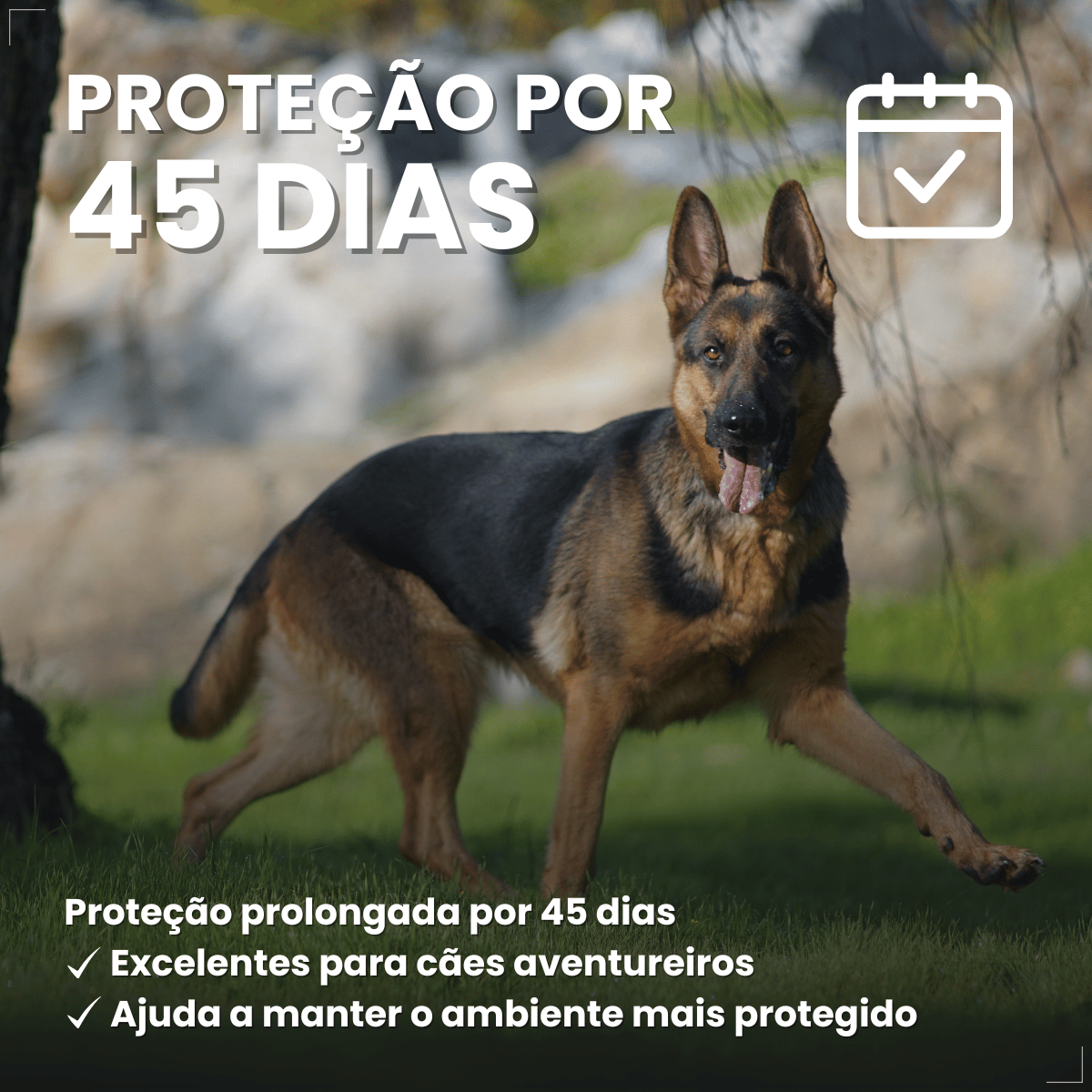 Wellpet 560Mg Antipulgas Carrapatos Cães 40,1 A 56kg Ouro