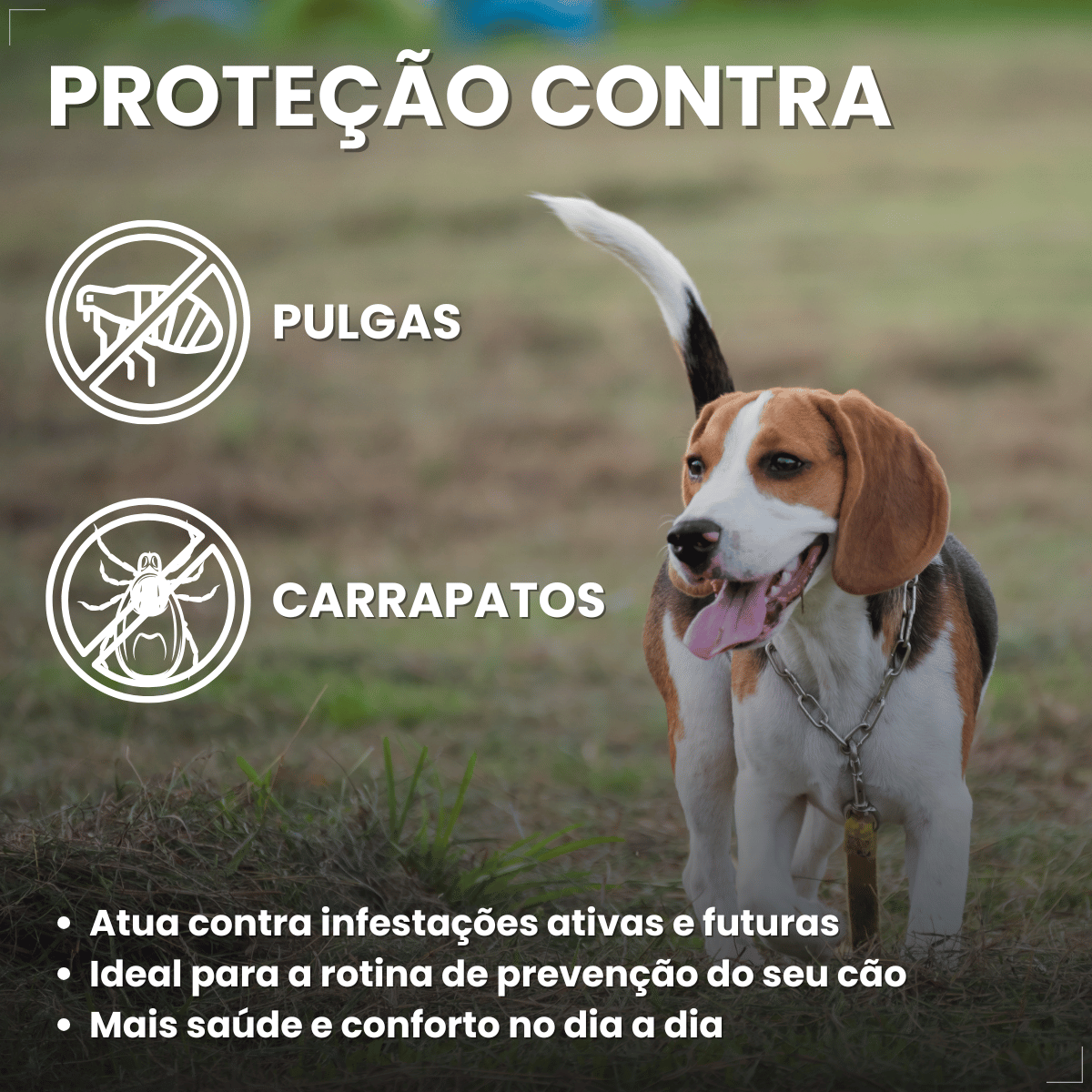 Antipulgas Carrapatos Wellpet Cão Ourofino 200mg 10,1 A 20kg
