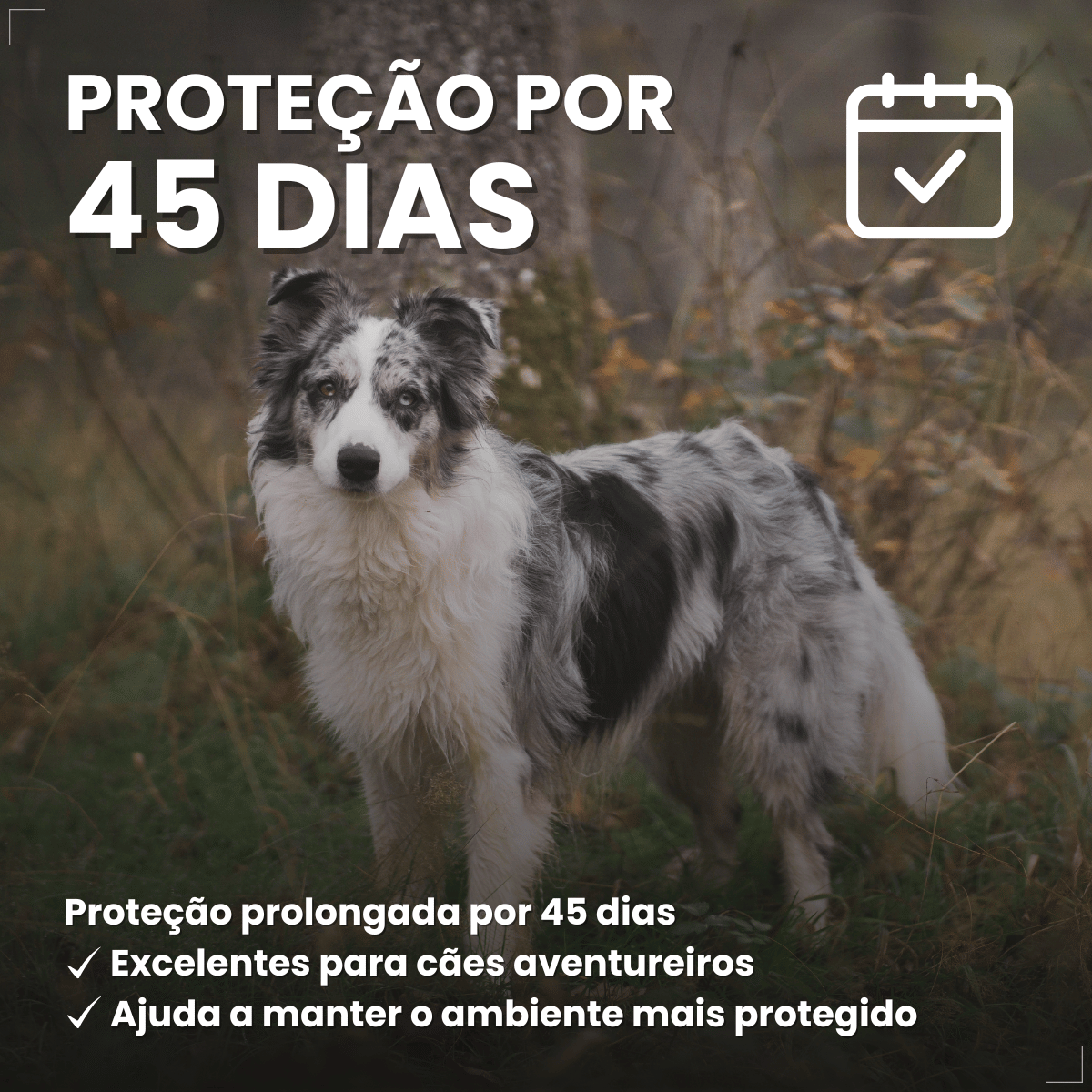 Antipulgas Carrapatos Wellpet Cão Ourofino 200mg 10,1 A 20kg