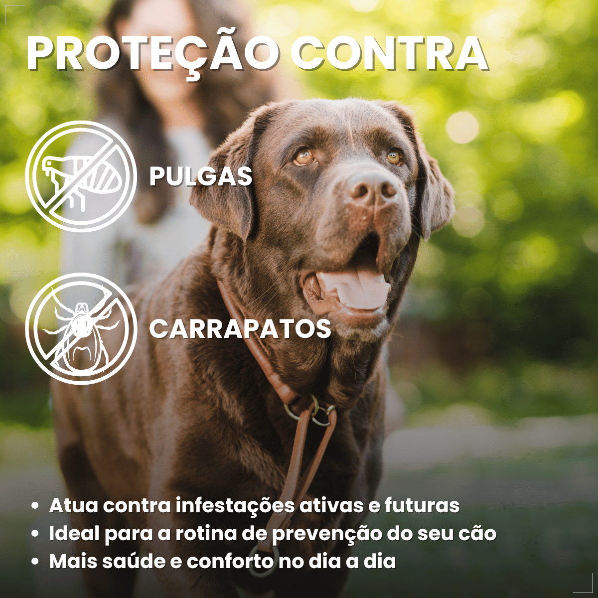 Wellpet Antipulgas E Carrapatos 400mg Para Cães 20,1 A 40 Kg