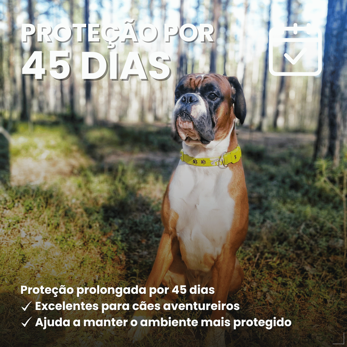 Wellpet Antipulgas E Carrapatos 400mg Para Cães 20,1 A 40 Kg