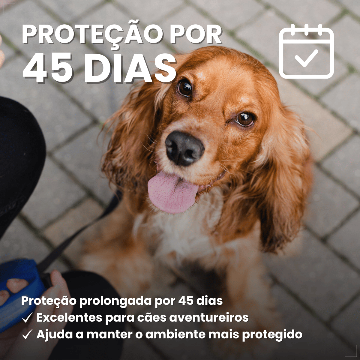 Antipulgas Carrapatos Wellpet Cães Ourofino 100mg 4,6 A 10kg