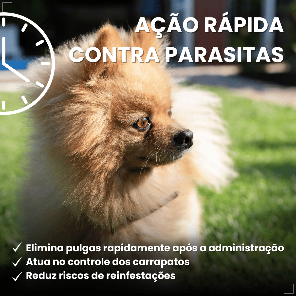 Antipulgas Carrapatos Wellpet Cães Ourofino 100mg 4,6 A 10kg