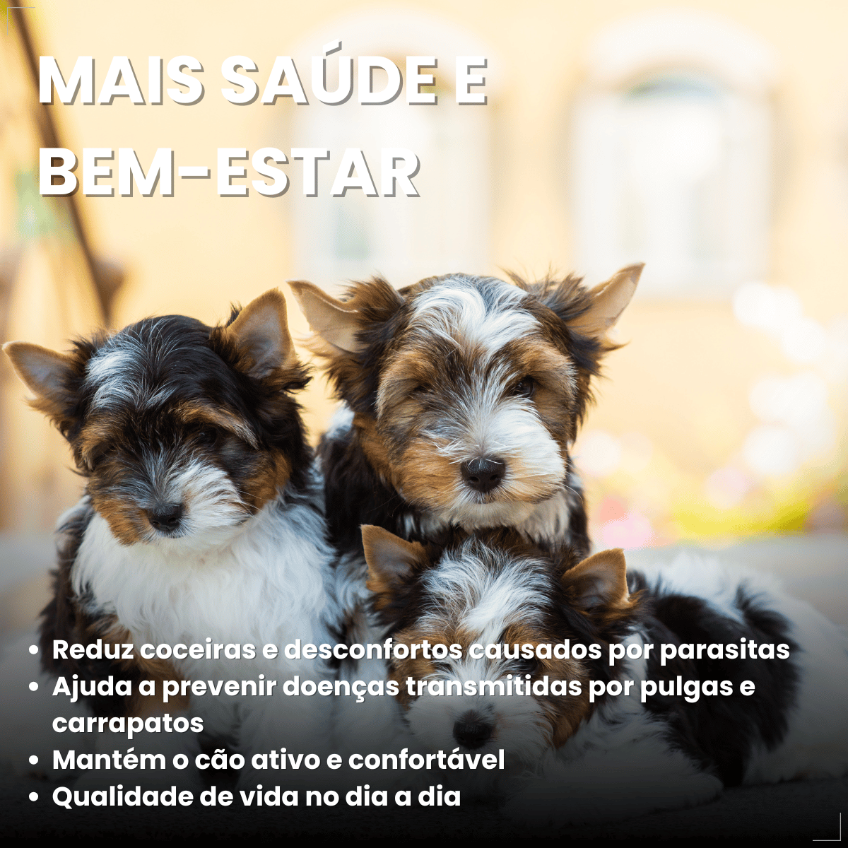 Antipulgas Carrapatos Wellpet Cães Ourofino 100mg 4,6 A 10kg