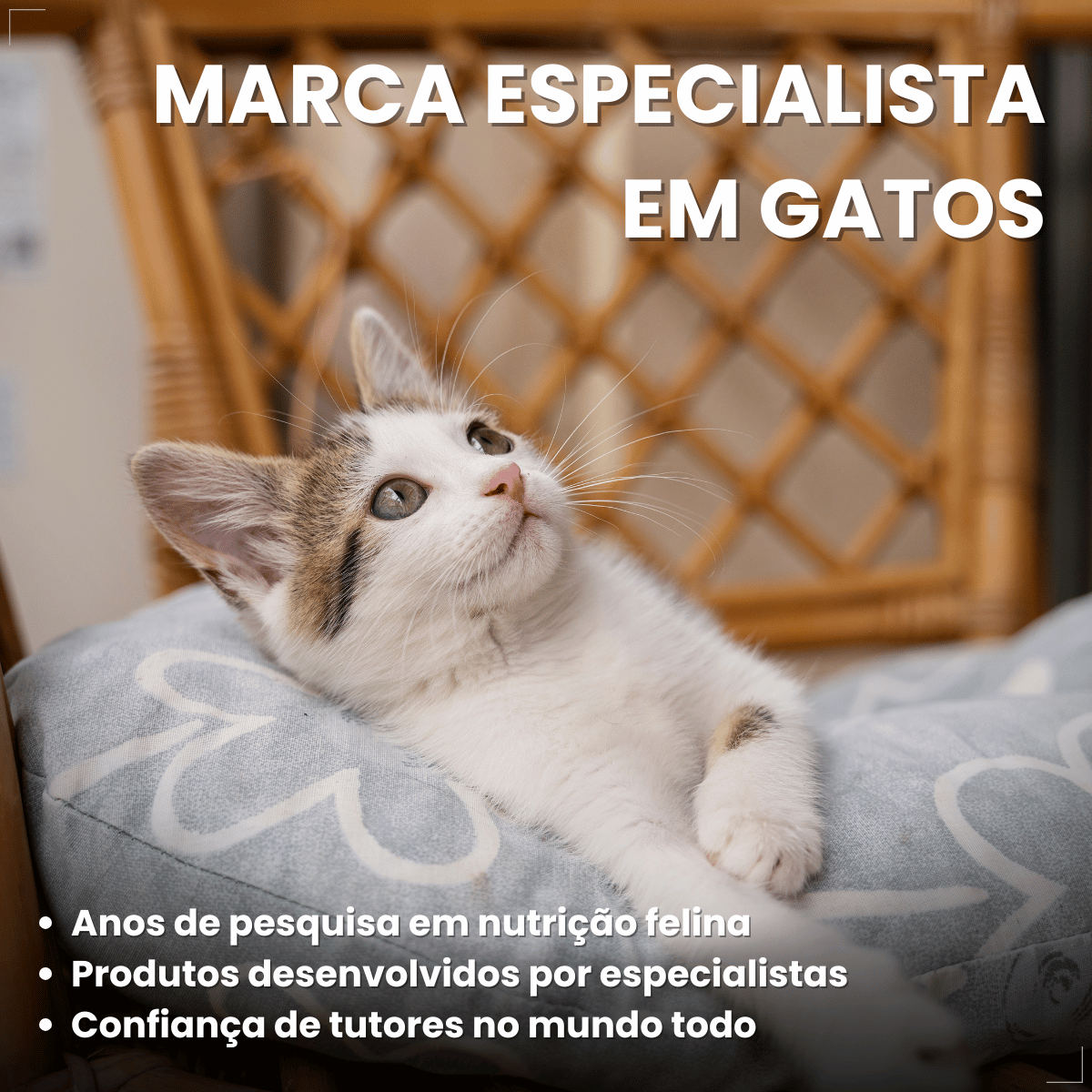 Kit 6 Petisco para Gatos Adultos WHISKAS Anti Bola Pelo 40g