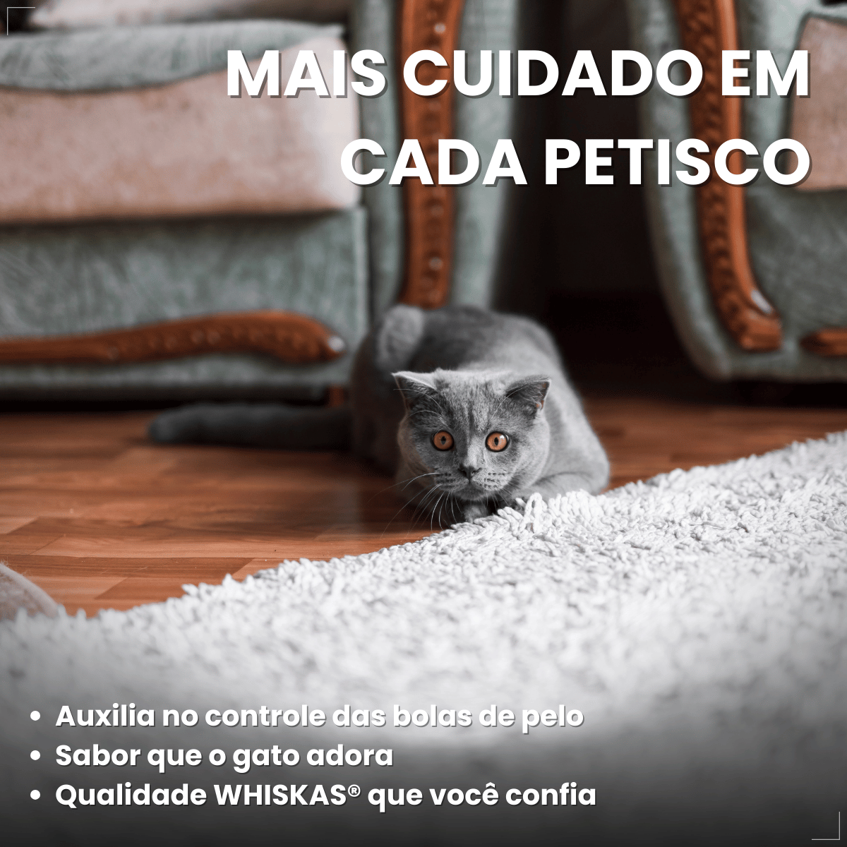 Kit 6 Petisco para Gatos Adultos WHISKAS Anti Bola Pelo 40g