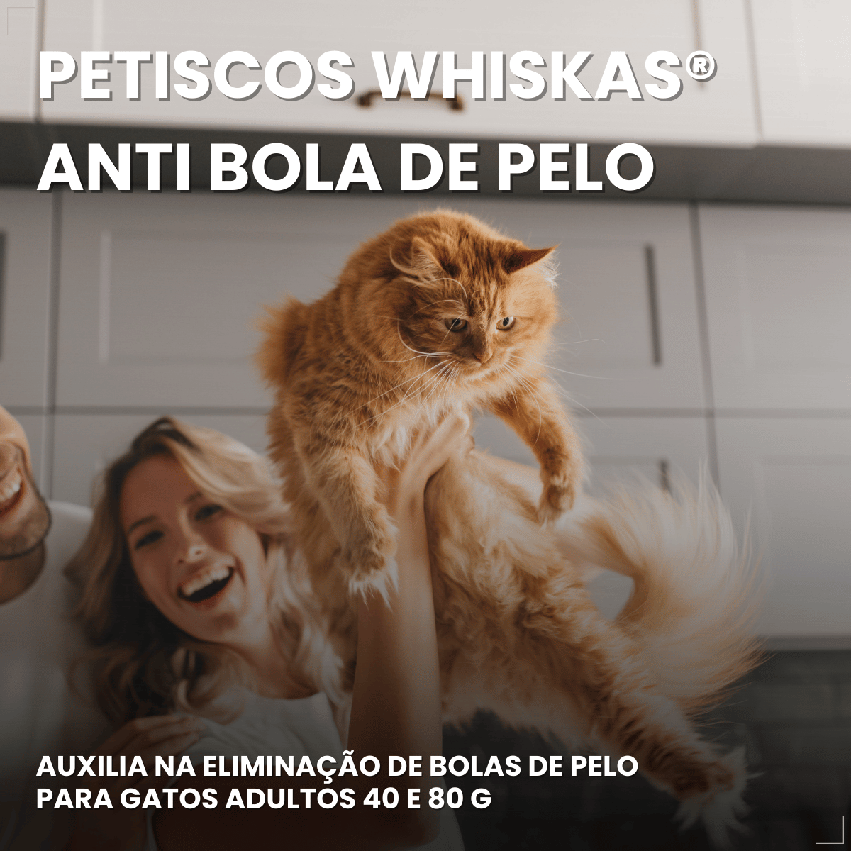 Kit 6 Petisco para Gatos Adultos WHISKAS Anti Bola Pelo 40g