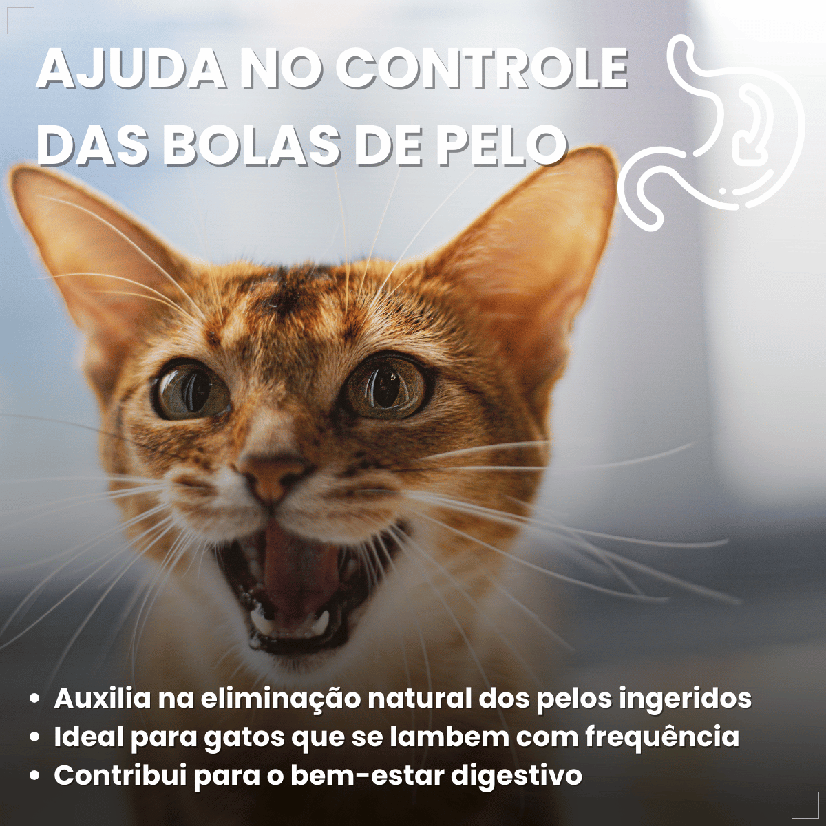 Kit 6 Petisco para Gatos Adultos WHISKAS Anti Bola Pelo 40g