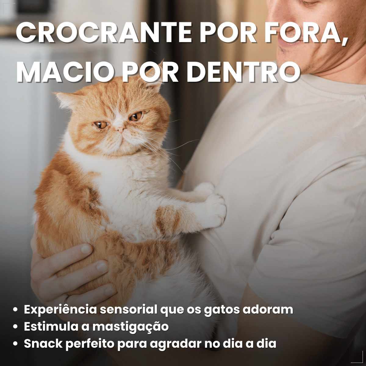 Kit 6 Petisco para Gatos Adultos WHISKAS Anti Bola Pelo 40g