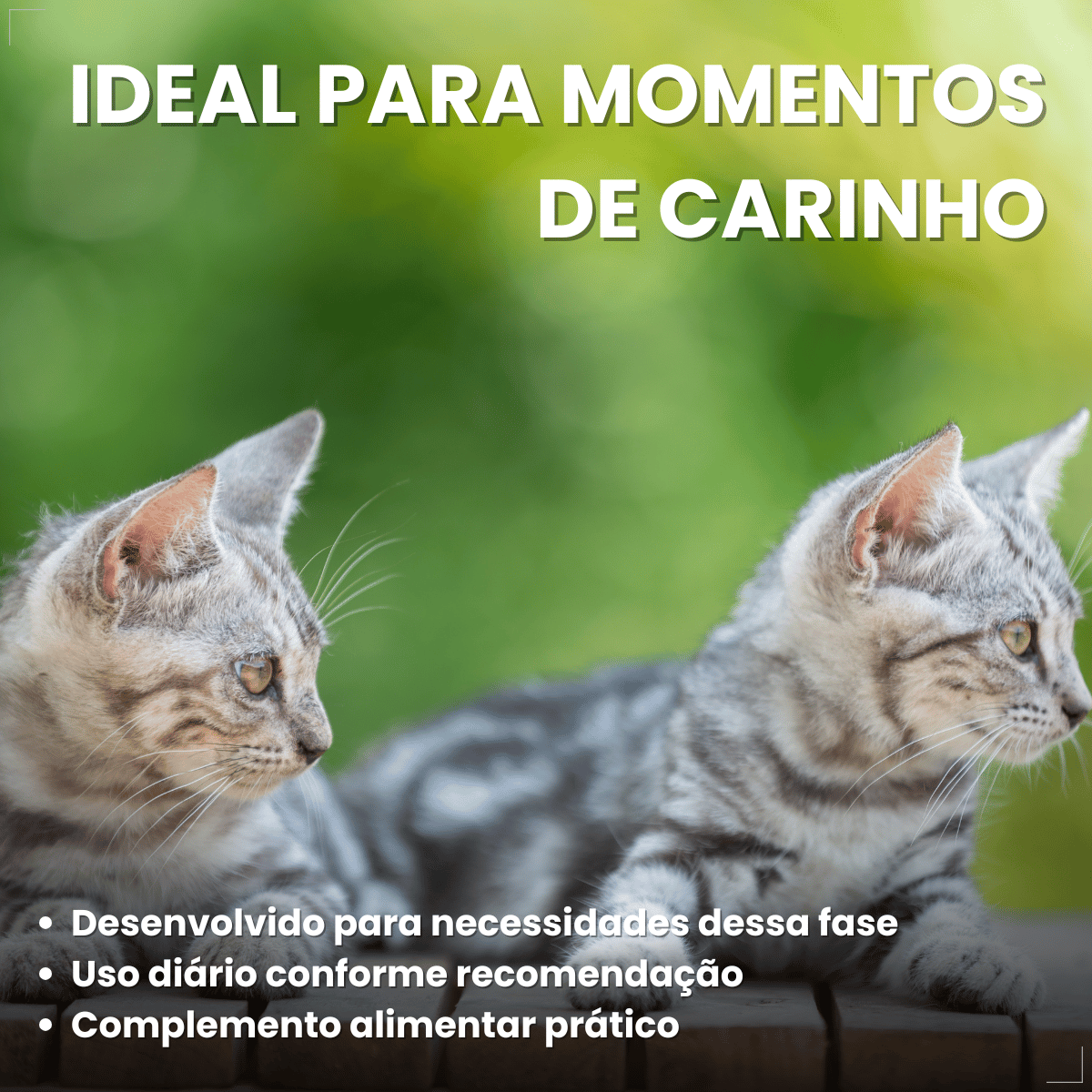 Kit 6 Petisco para Gatos Adultos WHISKAS Anti Bola Pelo 40g