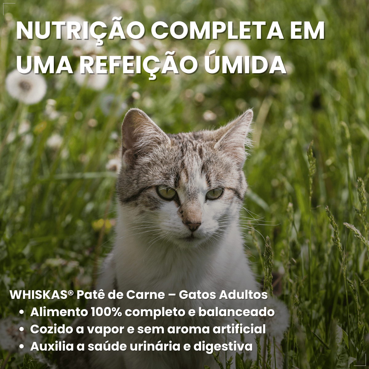 Ração Úmida para Gatos Adultos WHISKAS Lata Patê 290g