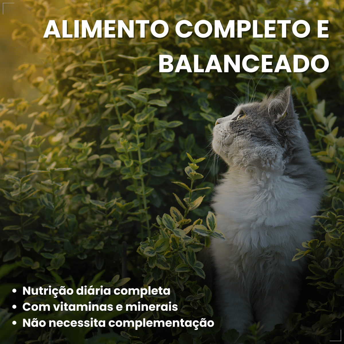 Ração Úmida para Gatos Adultos WHISKAS Lata Patê 290g