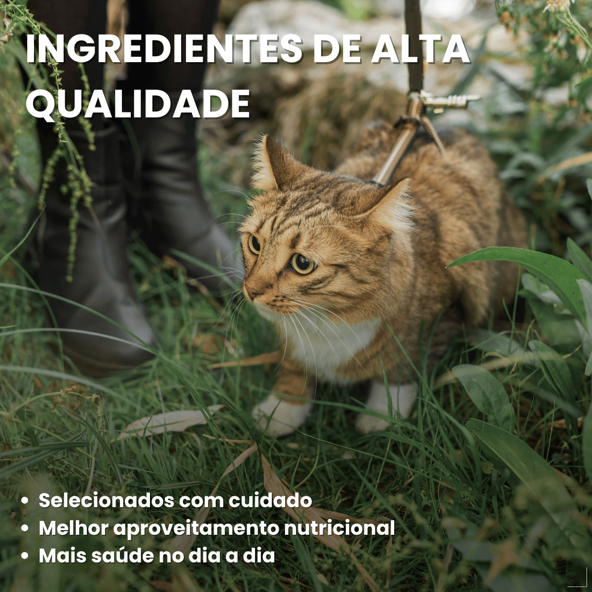 Ração Úmida para Gatos Adultos WHISKAS Lata Patê 290g