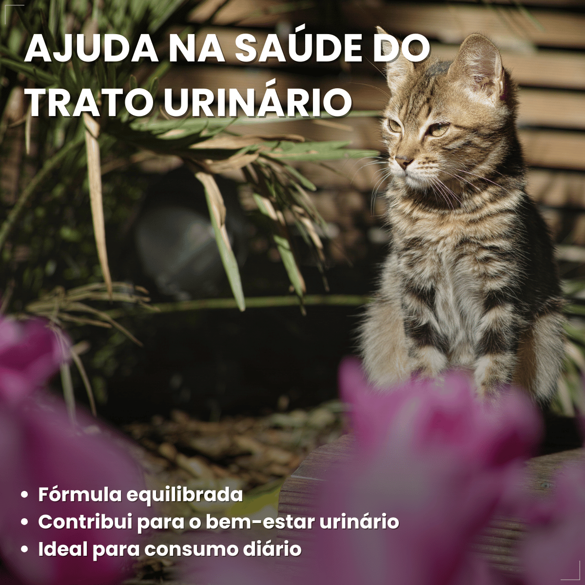Ração Úmida para Gatos Adultos WHISKAS Lata Patê 290g