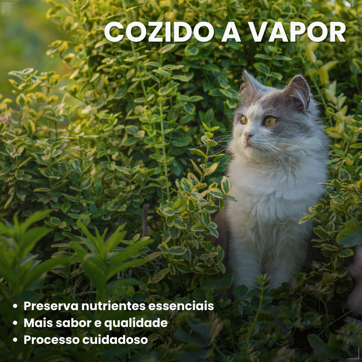 Ração Úmida para Gatos Adultos WHISKAS Lata Patê 290g