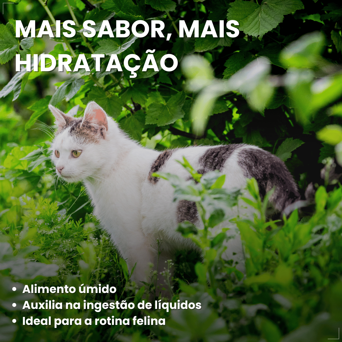 Ração Úmida para Gatos Adultos WHISKAS Lata Patê 290g