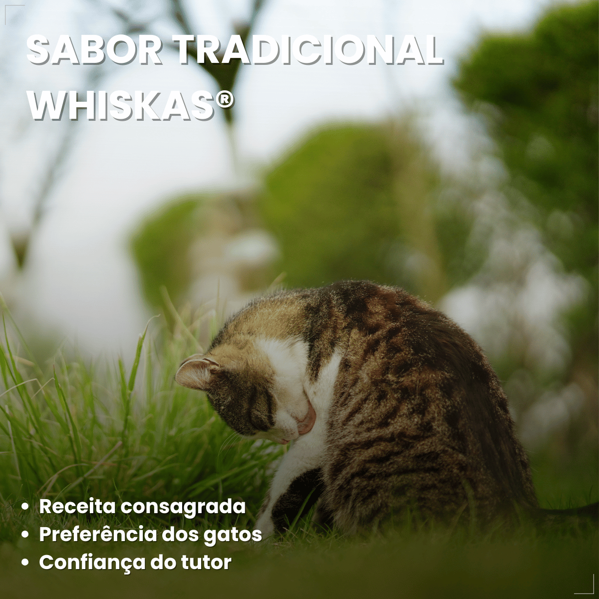 Ração Úmida para Gatos Adultos WHISKAS Lata Patê 290g
