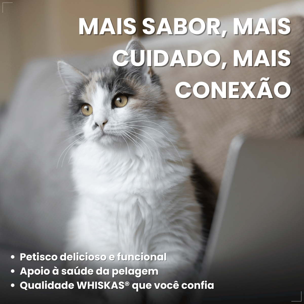 Petiscos para Gatos Adultos WHISKAS Pelo Saudável 40g