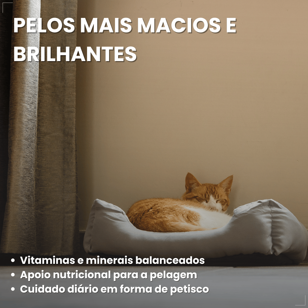 Petiscos para Gatos Adultos WHISKAS Pelo Saudável 40g
