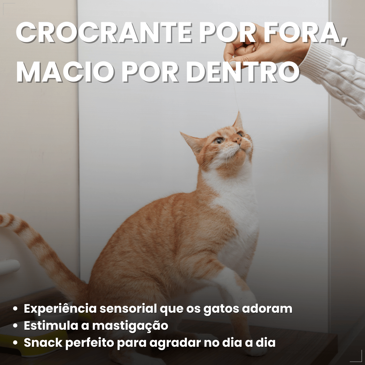 Petiscos para Gatos Adultos WHISKAS Pelo Saudável 40g