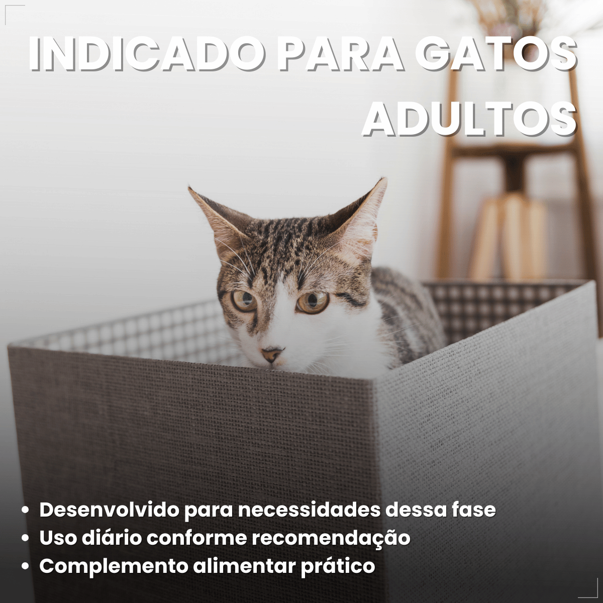 Petiscos para Gatos Adultos WHISKAS Pelo Saudável 40g