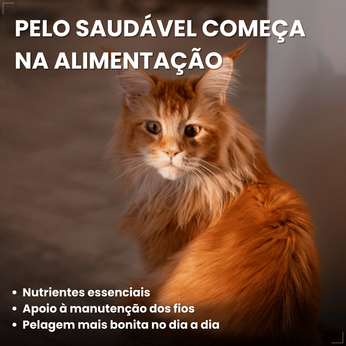 Petiscos para Gatos Adultos WHISKAS Pelo Saudável 40g