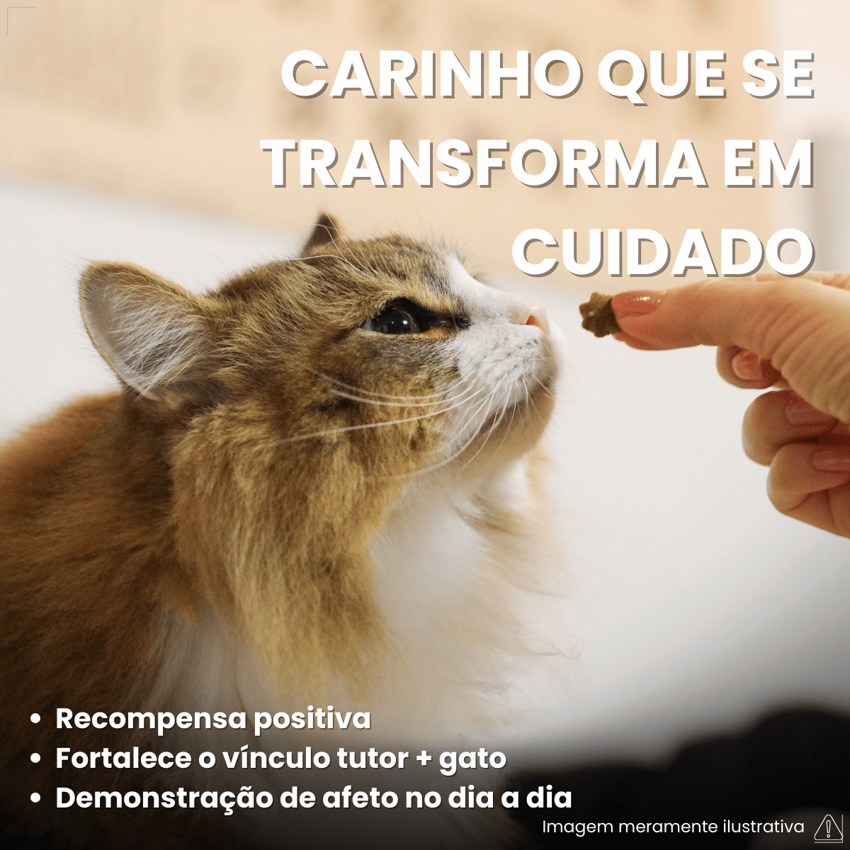 Petiscos para Gatos Adultos WHISKAS Pelo Saudável 40g
