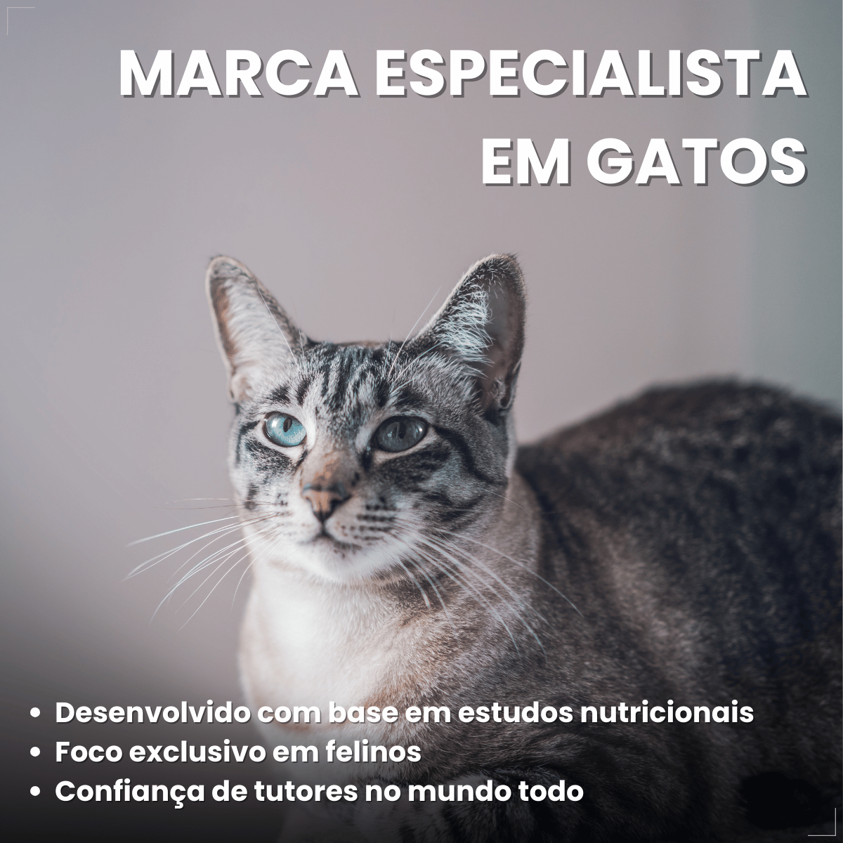 Petiscos para Gatos Adultos WHISKAS Pelo Saudável 40g
