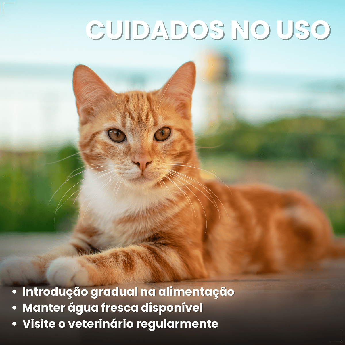 Petiscos para Gatos Adultos WHISKAS Pelo Saudável 40g