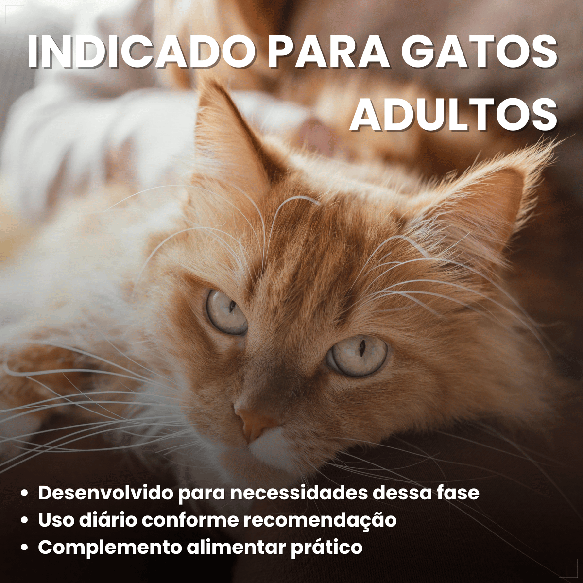 Petisco para Gatos Adultos WHISKAS Anti Bola de Pelo 80g