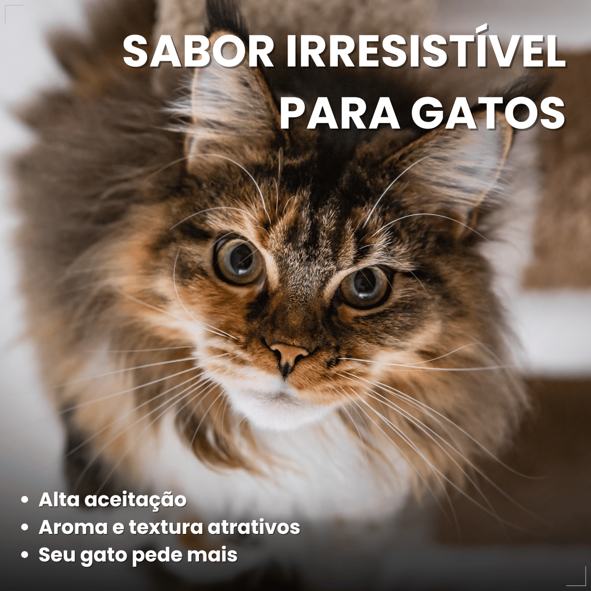 Petisco para Gatos Adultos WHISKAS Anti Bola de Pelo 40g