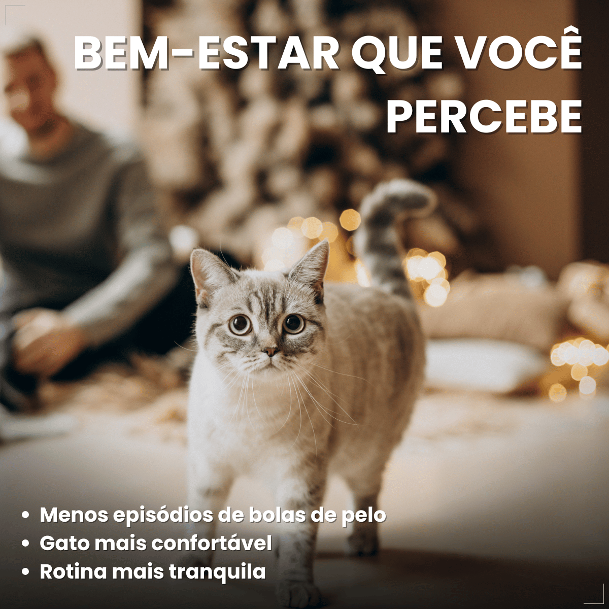 Petisco para Gatos Adultos WHISKAS Anti Bola de Pelo 80g