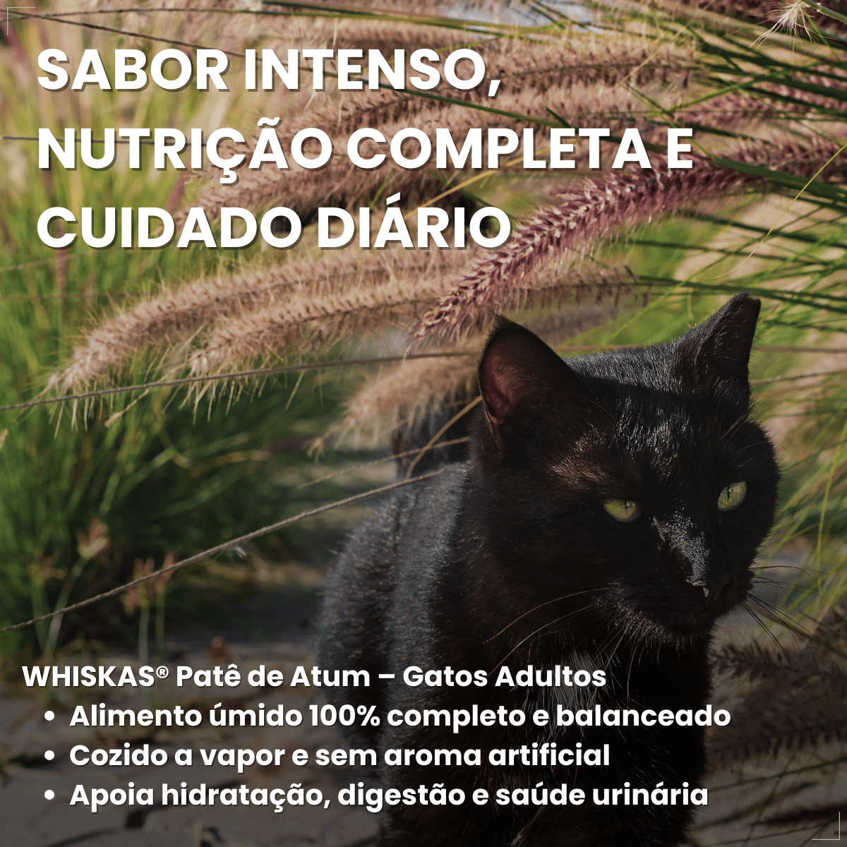 Kit 10 Ração Úmida para Gatos Adultos WHISKAS Lata Patê 290g