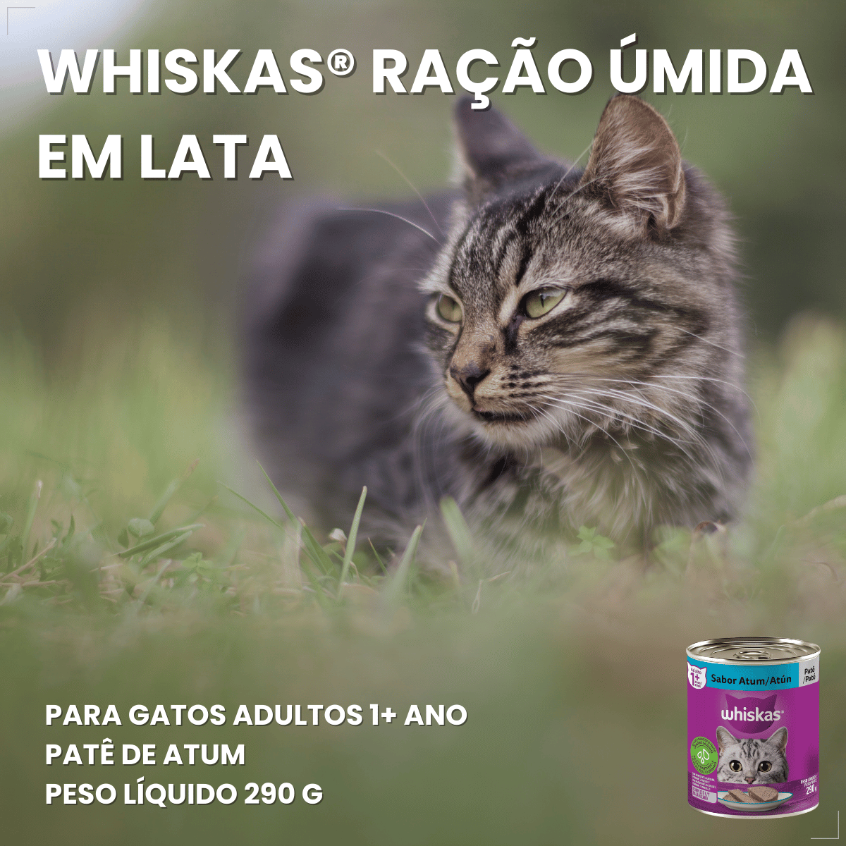 Kit 10 Ração Úmida para Gatos Adultos WHISKAS Lata Patê 290g