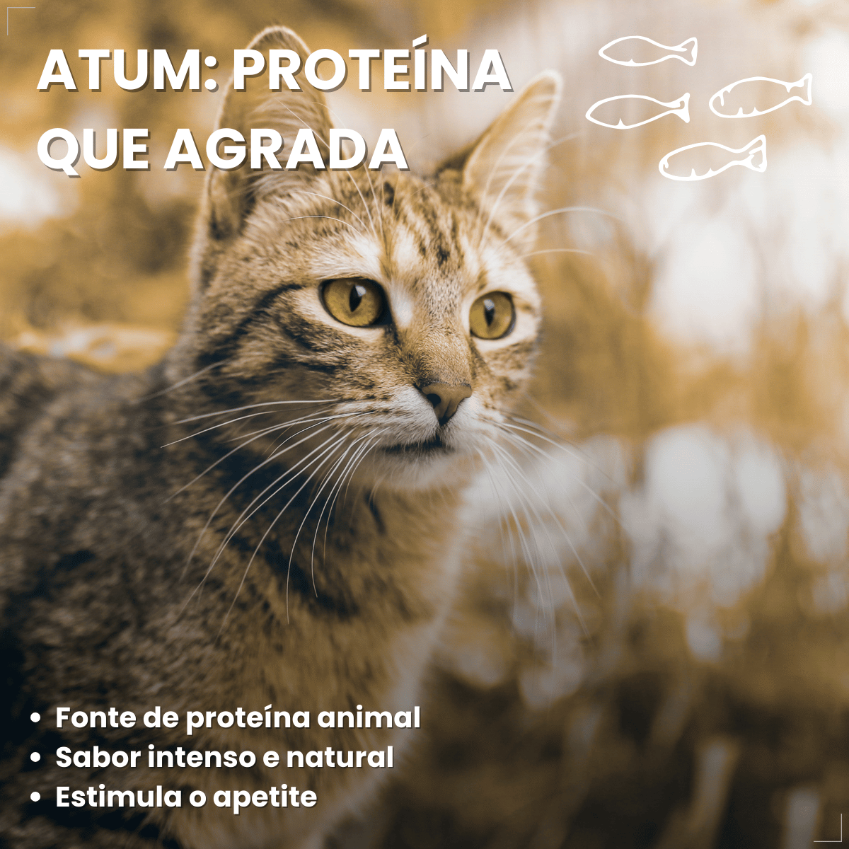 Kit 10 Ração Úmida para Gatos Adultos WHISKAS Lata Patê 290g
