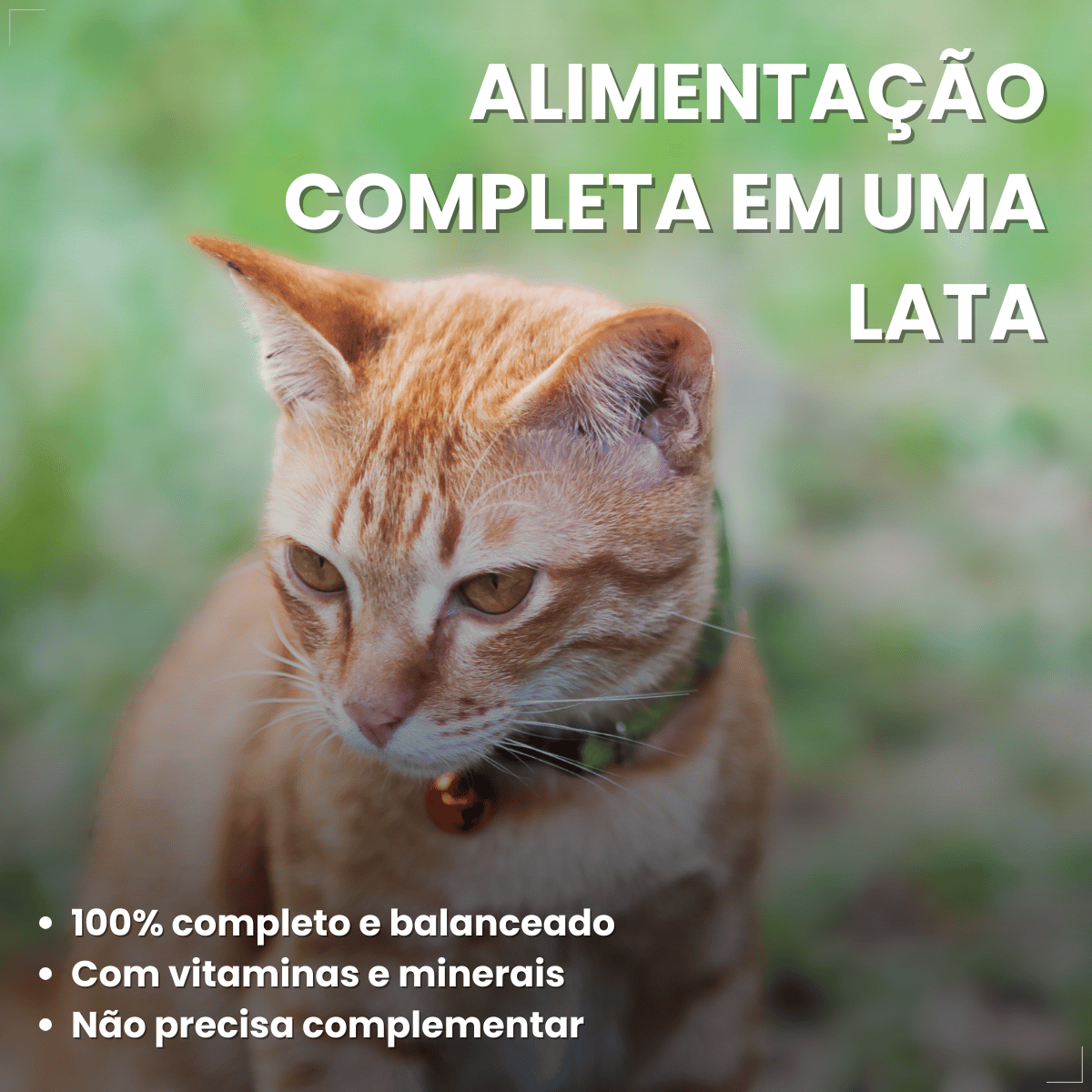 Kit 10 Ração Úmida para Gatos Adultos WHISKAS Lata Patê 290g