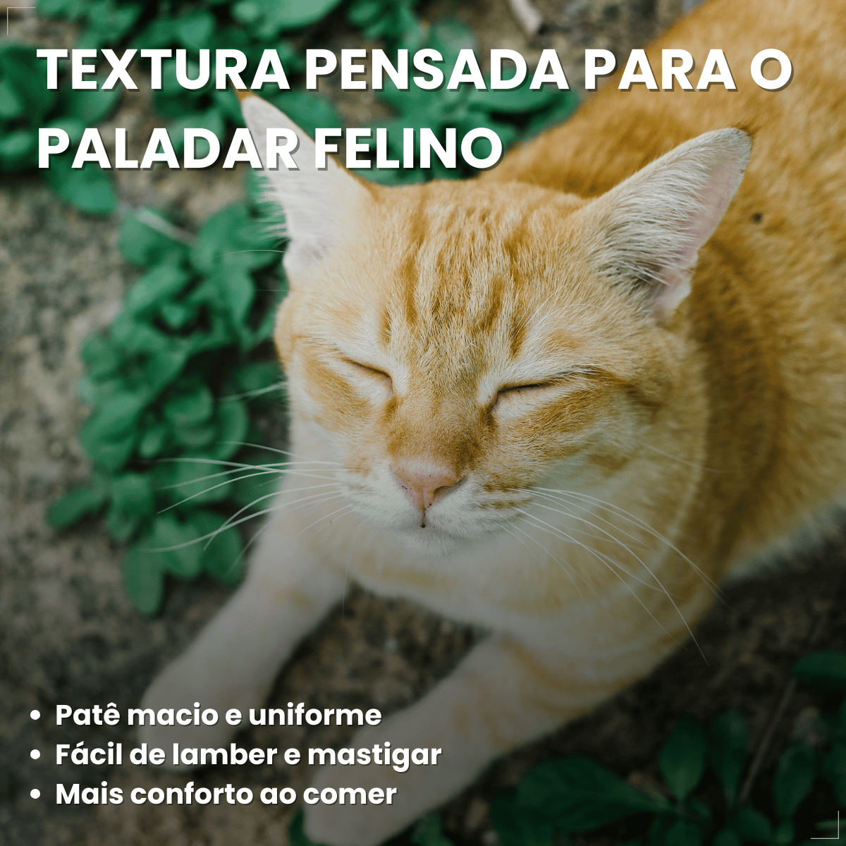 Kit 10 Ração Úmida para Gatos Adultos WHISKAS Lata Patê 290g