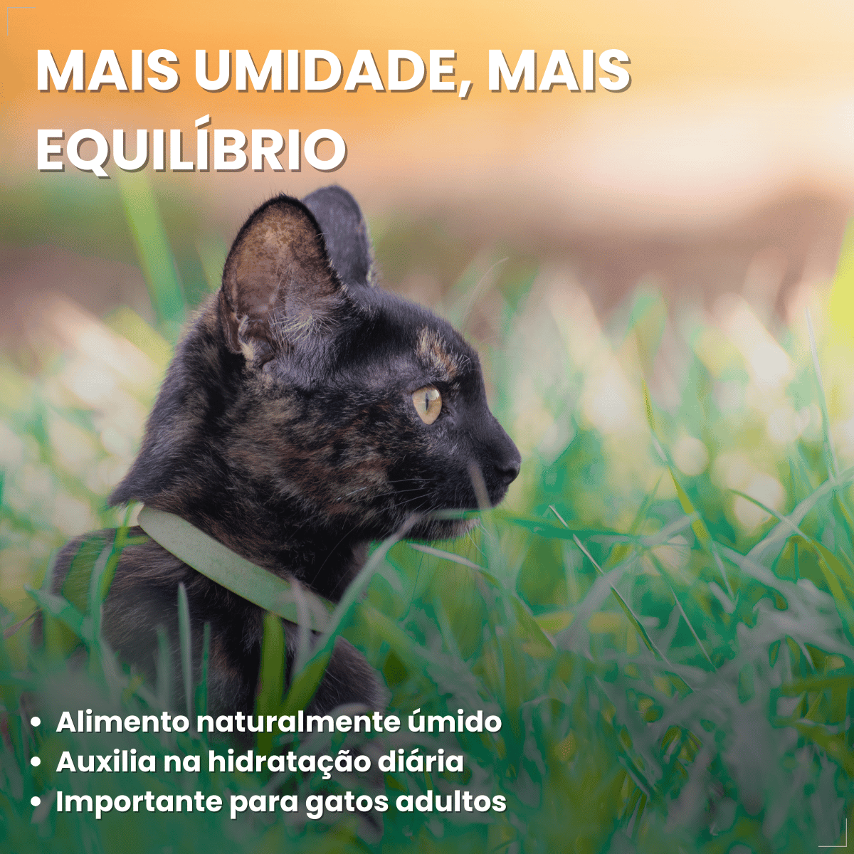 Kit 10 Ração Úmida para Gatos Adultos WHISKAS Lata Patê 290g