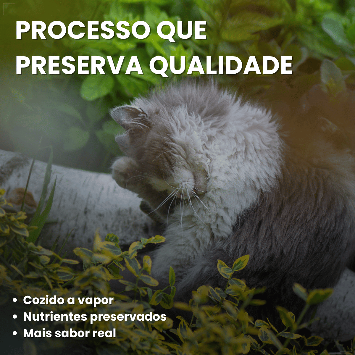 Kit 10 Ração Úmida para Gatos Adultos WHISKAS Lata Patê 290g