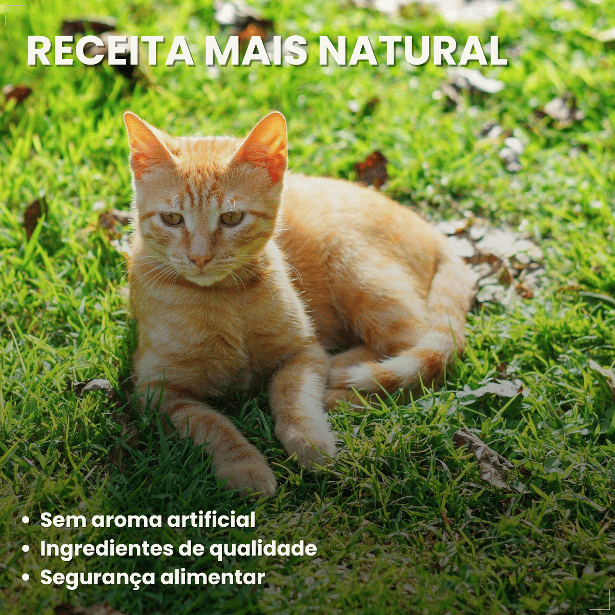 Kit 10 Ração Úmida para Gatos Adultos WHISKAS Lata Patê 290g